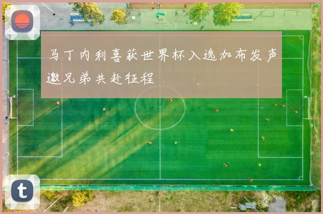 马丁内利喜获世界杯入选加布发声邀兄弟共赴征程